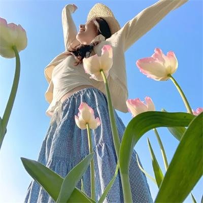 达西玛姨娘